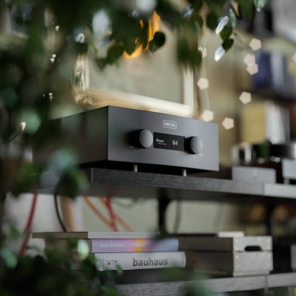 HEGEL - Roon - 64
Ryan McGinley
Way
bauhaus