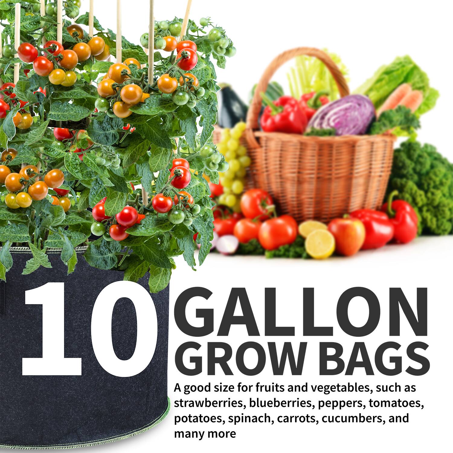10 GALLON GROW BAGS

A good size for fruits and vegetables, such as strawberries, blueberries, peppers, tomatoes, potatoes, spinach, carrots, cucumbers, and many more