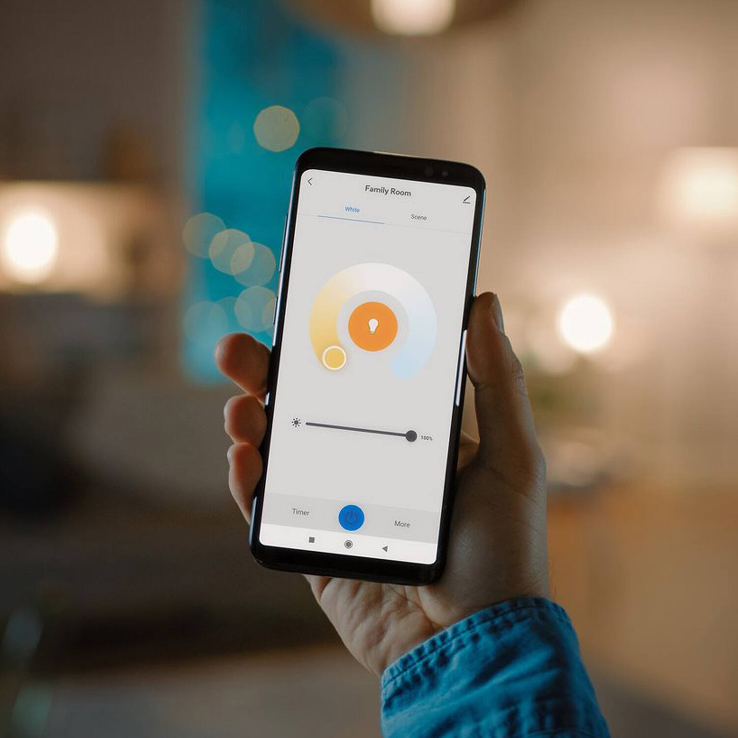 Family Room White Scene 100% Timer More