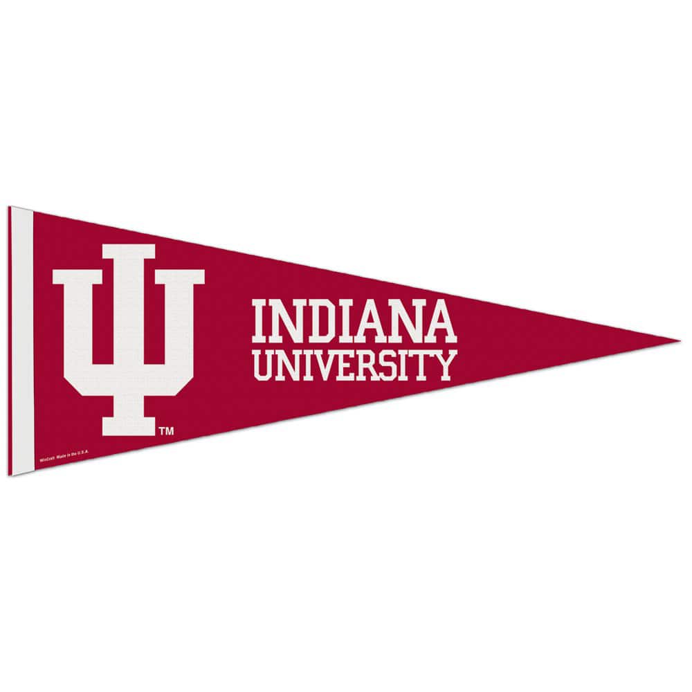 "WinCraft - Indiana Hoosiers 12"" x 30"" Premium Pennant - Multicolor" price history on PriceWatchPro