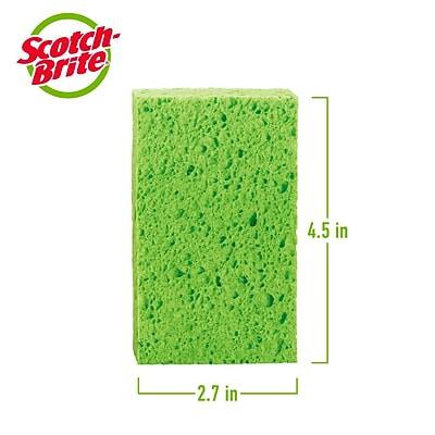 Scotch-Brite  
4.5 in x 2.7 in