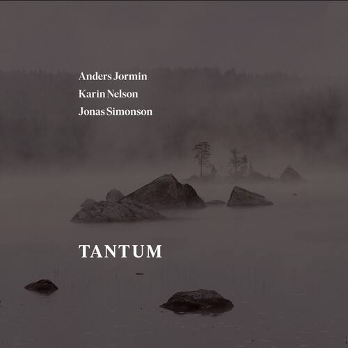 Bach,J.S. / Jormin / Simonson - Tantum   - COMPACT DISCS [CD] price history on PriceWatchPro