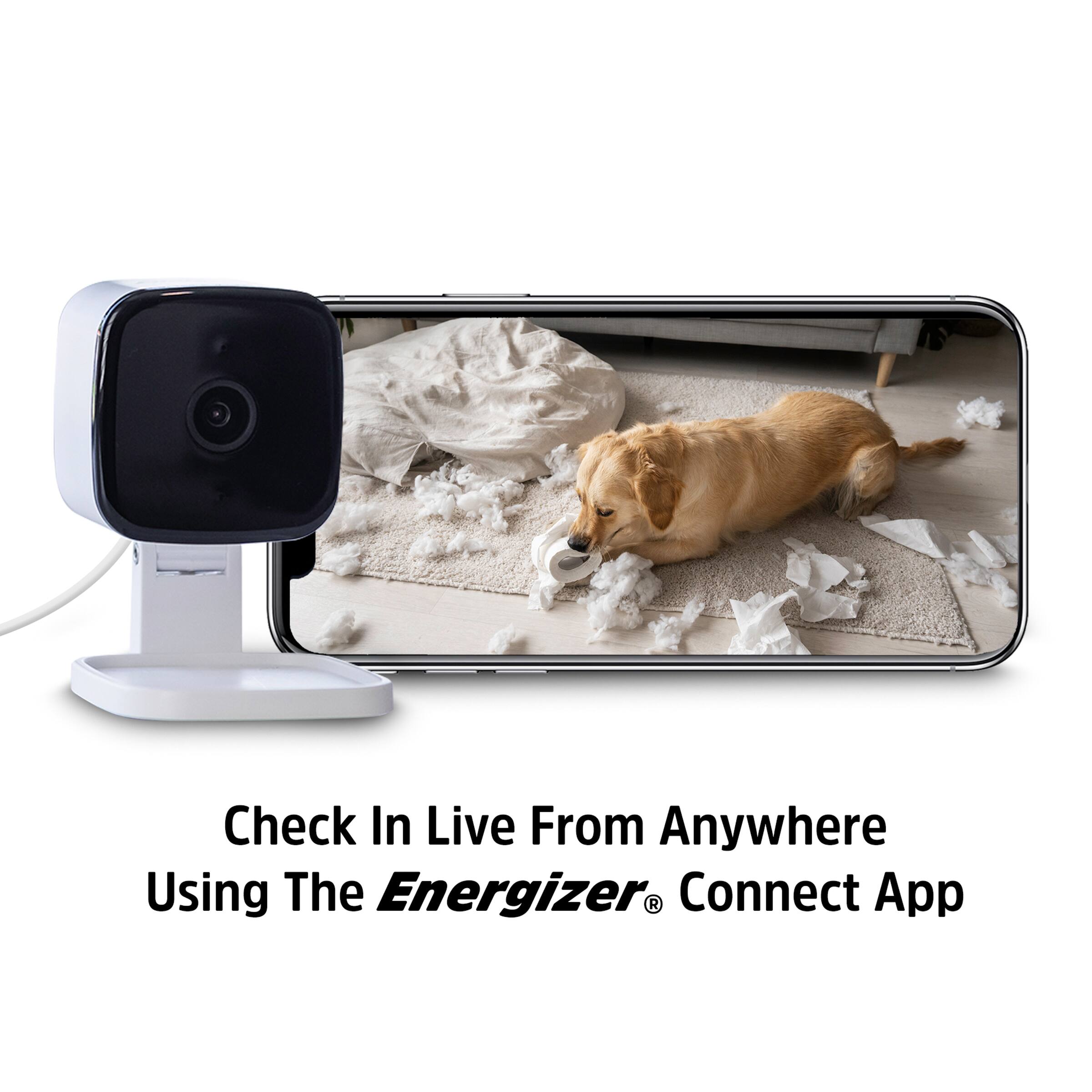Check In Live From Anywhere Using The Energizer® Connect App