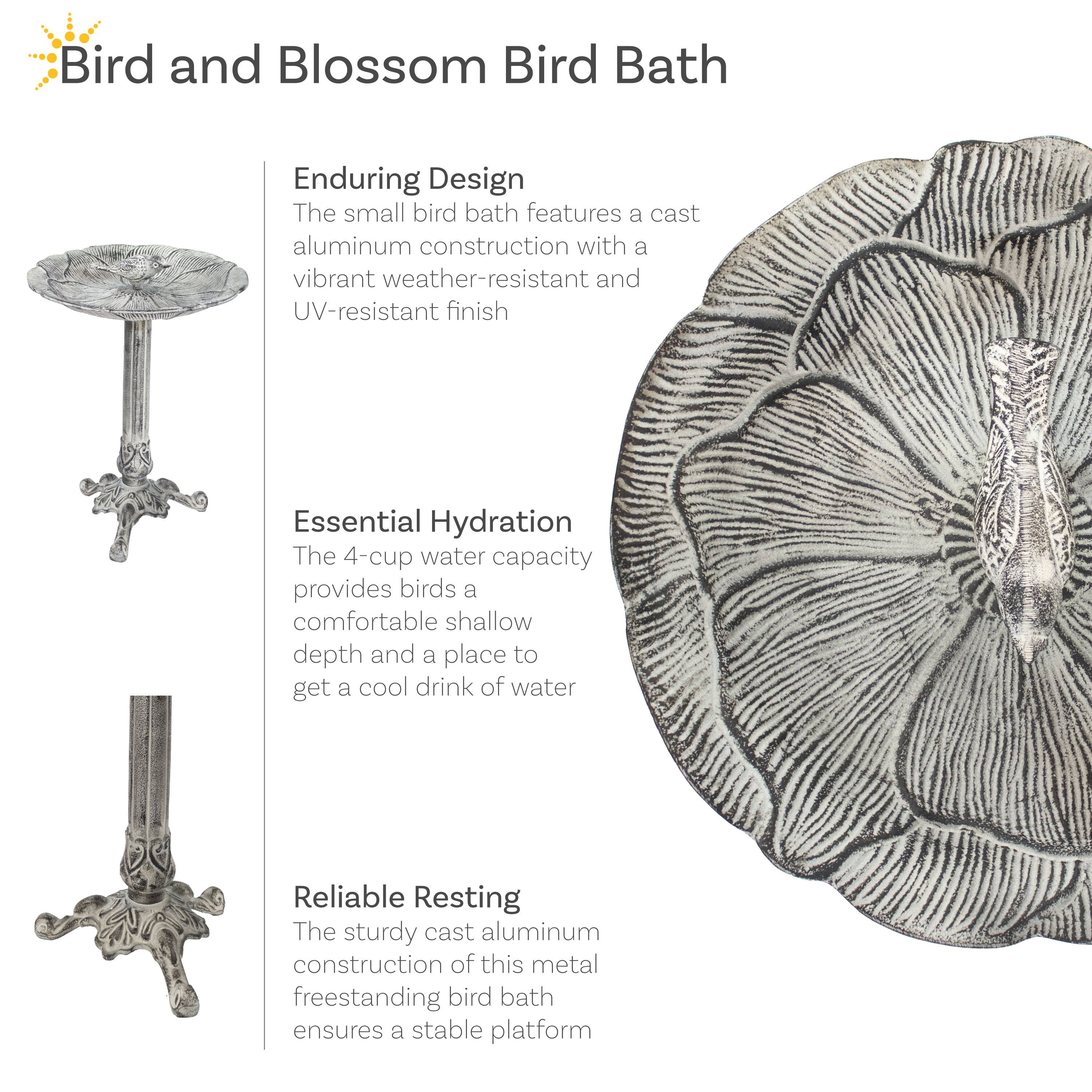 **Bird and Blossom Bird Bath**

**Enduring Design**  
The small bird bath features a cast aluminum construction with a vibrant weather-resistant and UV-resistant finish.

**Essential Hydration**  
The 4-cup water capacity provides birds a comfortable shallow depth and a place to get a cool drink of water.

**Reliable Resting**  
The sturdy cast aluminum construction of this metal freestanding bird bath ensures a stable platform.