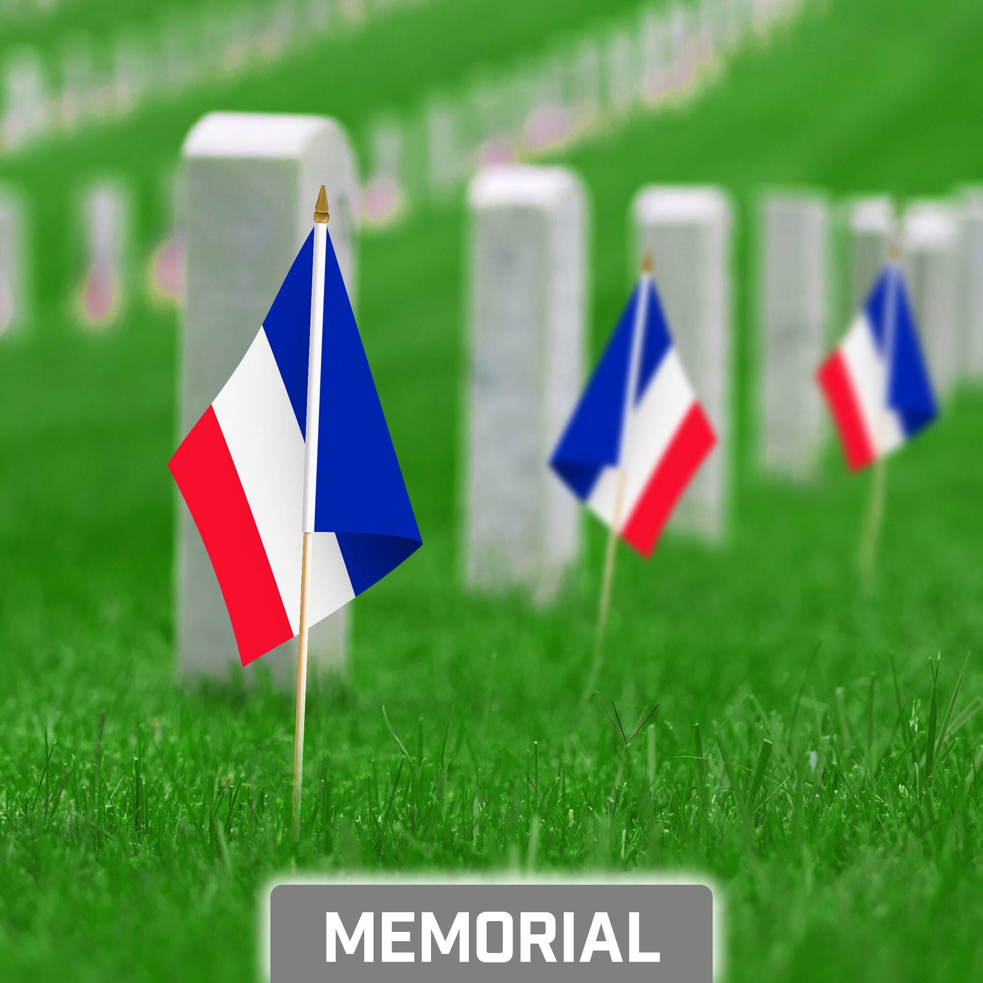 Back. G128 - 12-Pack Handheld France Flags — 8 x 12 in, 150D Polyester, Wooden Stick with Gold Spear. - Assorted Colors.