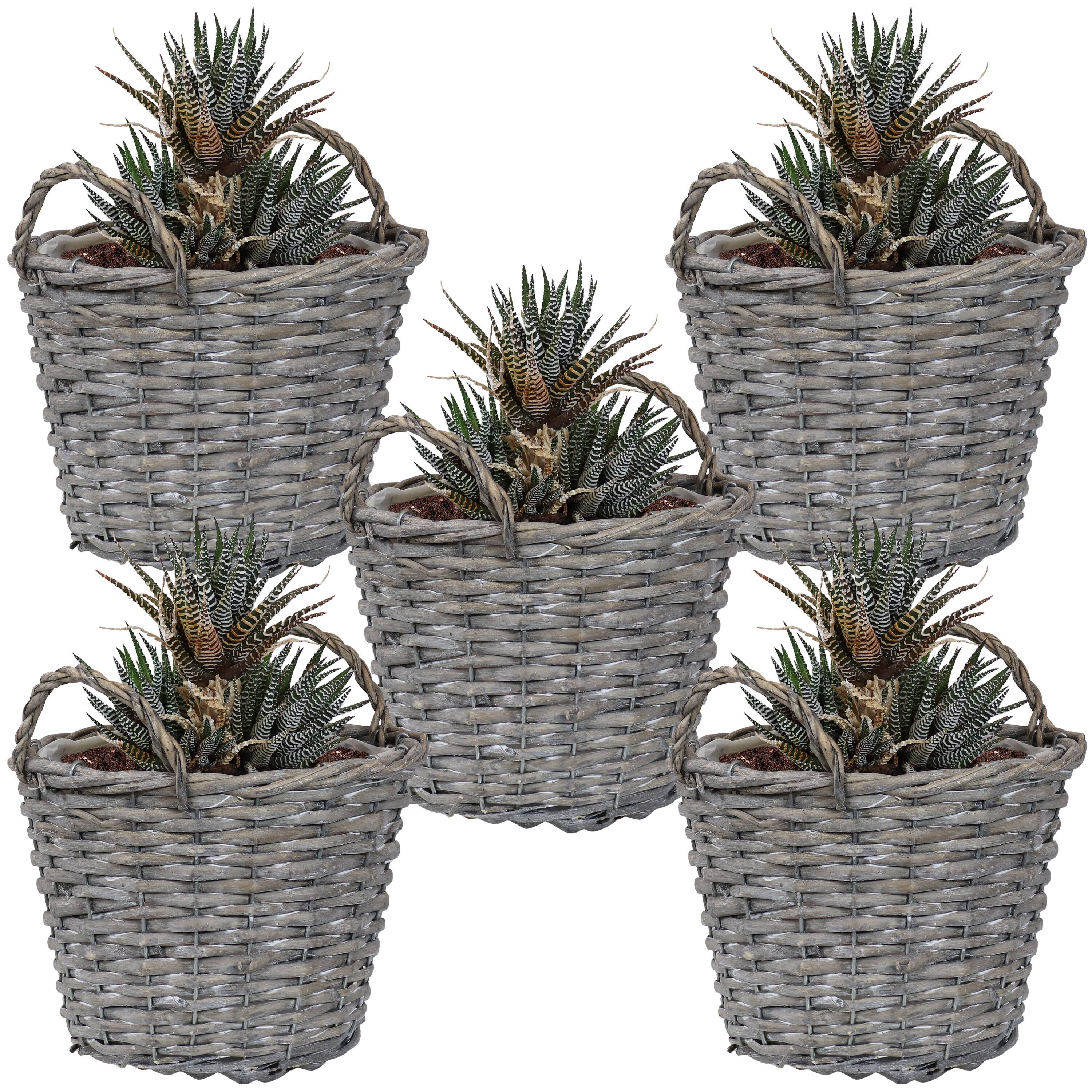 Alt View 5. Sunnydaze - 8 in Rattan Wicker Basket Planters with Handles/Lining - Set of 5 - Grey.