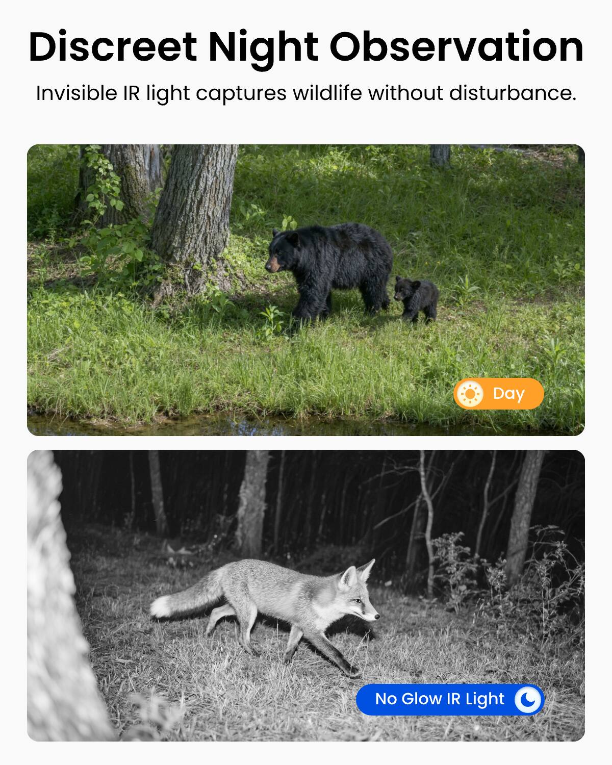 Discreet Night Observation  
Invisible IR light captures wildlife without disturbance.  

Day  
No Glow IR Light