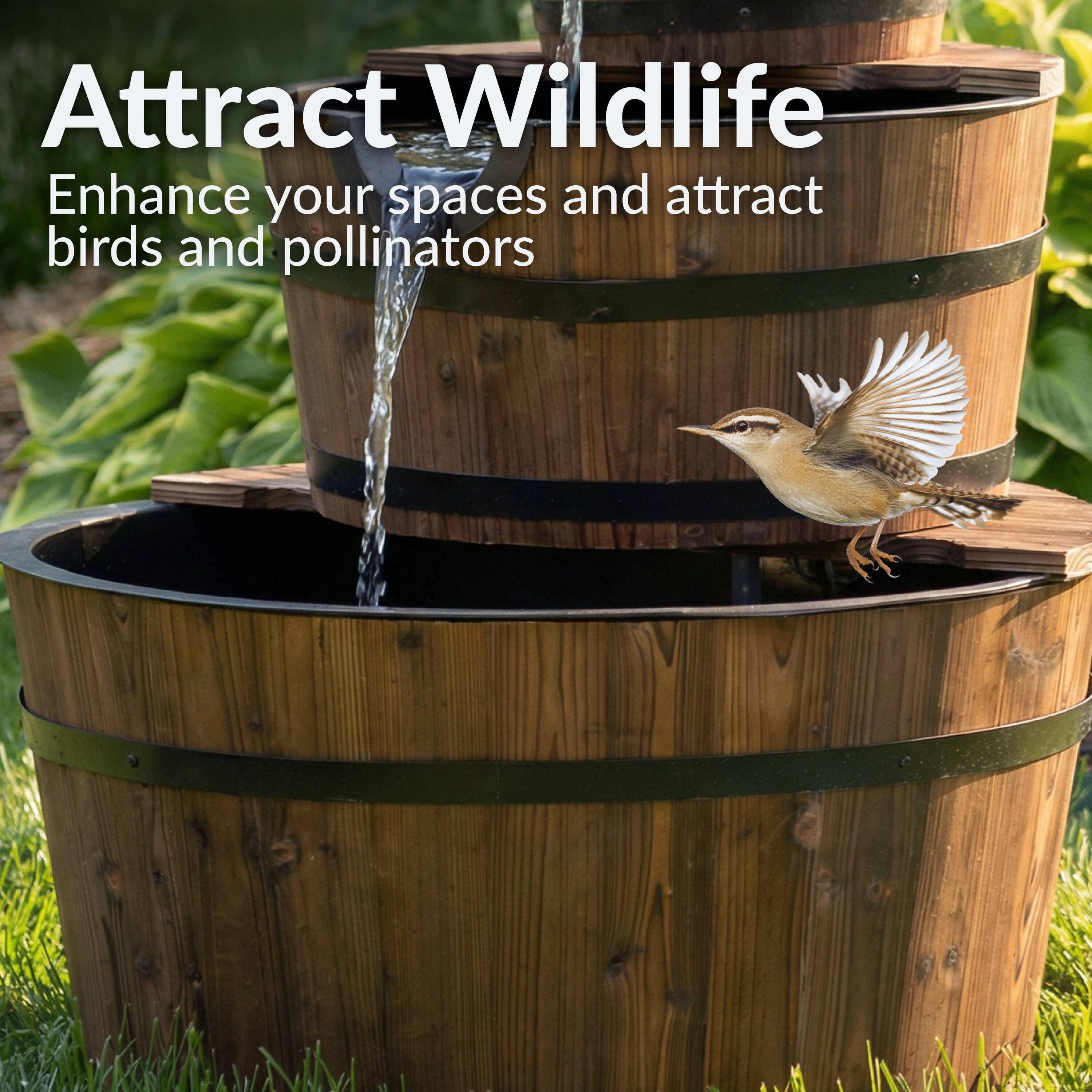 Attract Wildlife  
Enhance your spaces and attract birds and pollinators
