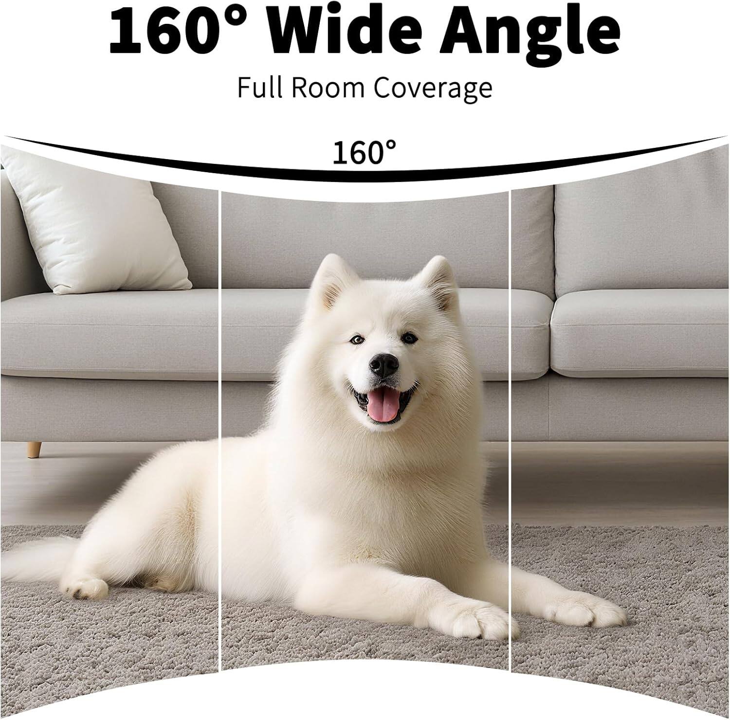 160° Wide Angle  
Full Room Coverage  
160°
