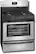 Angle Standard. Frigidaire - 30" Freestanding Gas Range - Silver Mist.