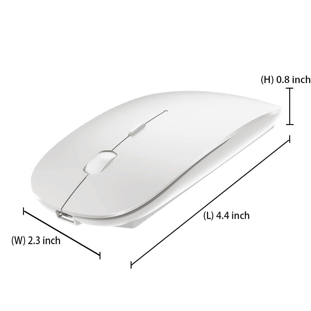 (H) 0.8 inch  
(L) 4.4 inch  
(W) 2.3 inch