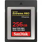 SanDisk Extreme PRO CFexpress 256 GB
Read 1700 MB/s*
Write 1200 MB/s
SanDisk