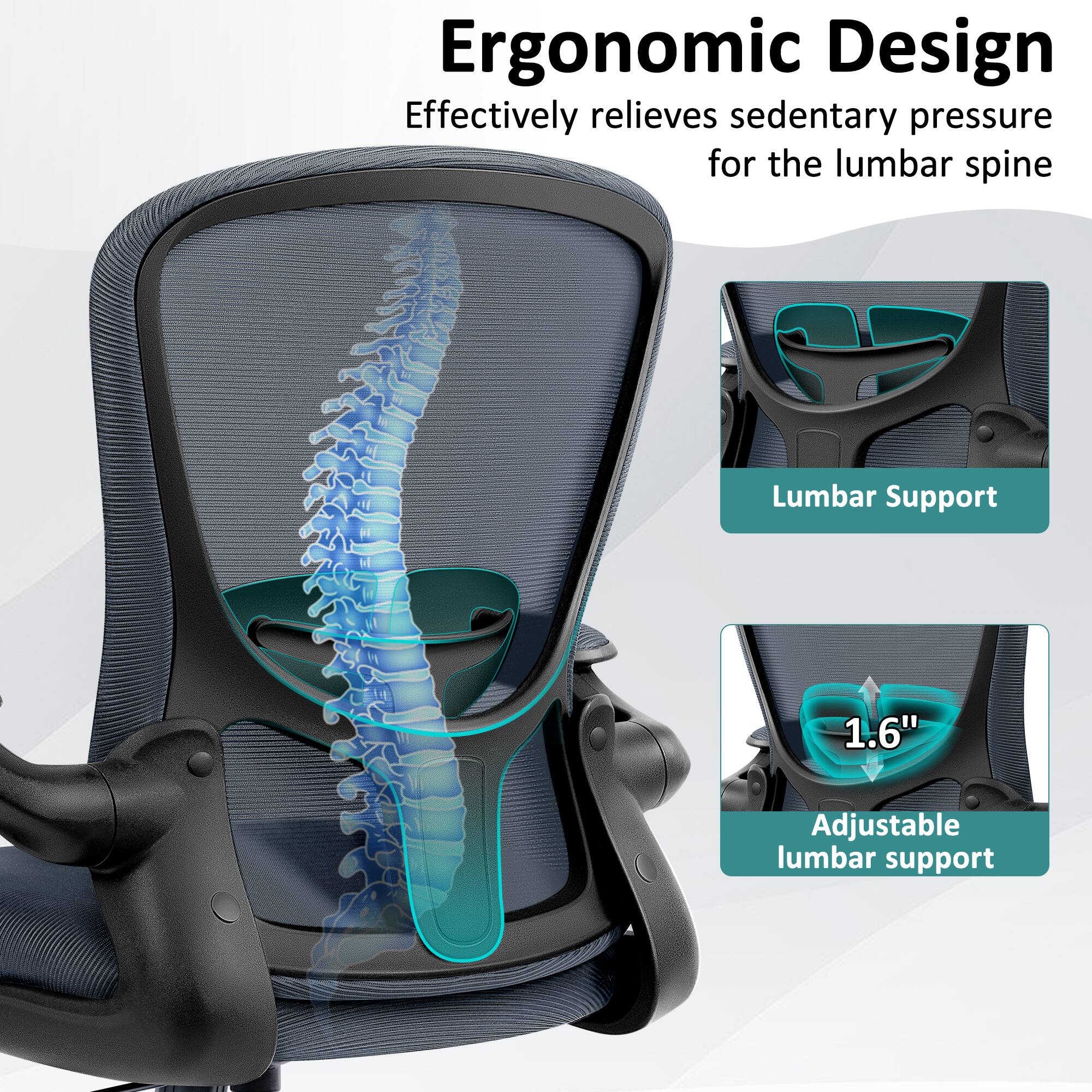Ergonomic Design  
Effectively relieves sedentary pressure for the lumbar spine  

Lumbar Support  
1.6" Adjustable lumbar support
