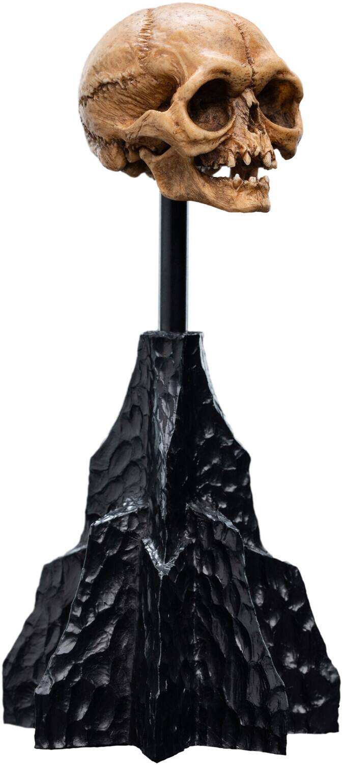 Alt View 2. Weta Workshop - WETA Workshop Polystone - The Lord of the Rings Trilogy - Skull of Gollum Polystone Statue   - COLLECTIBLES - Multicolor.