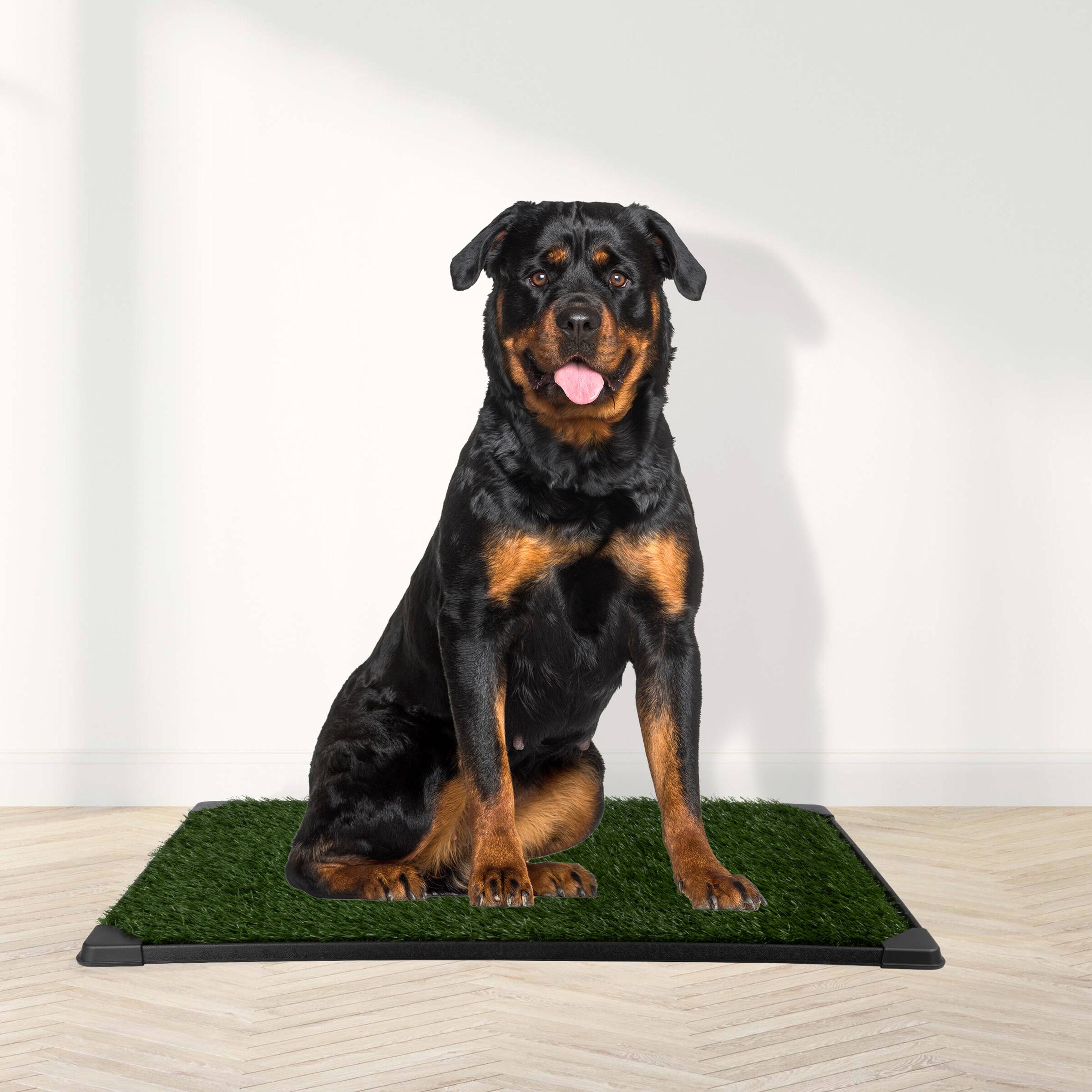 Back. PetMaker - 41x27 Artificial Grass Pee Pads - Black/Green.