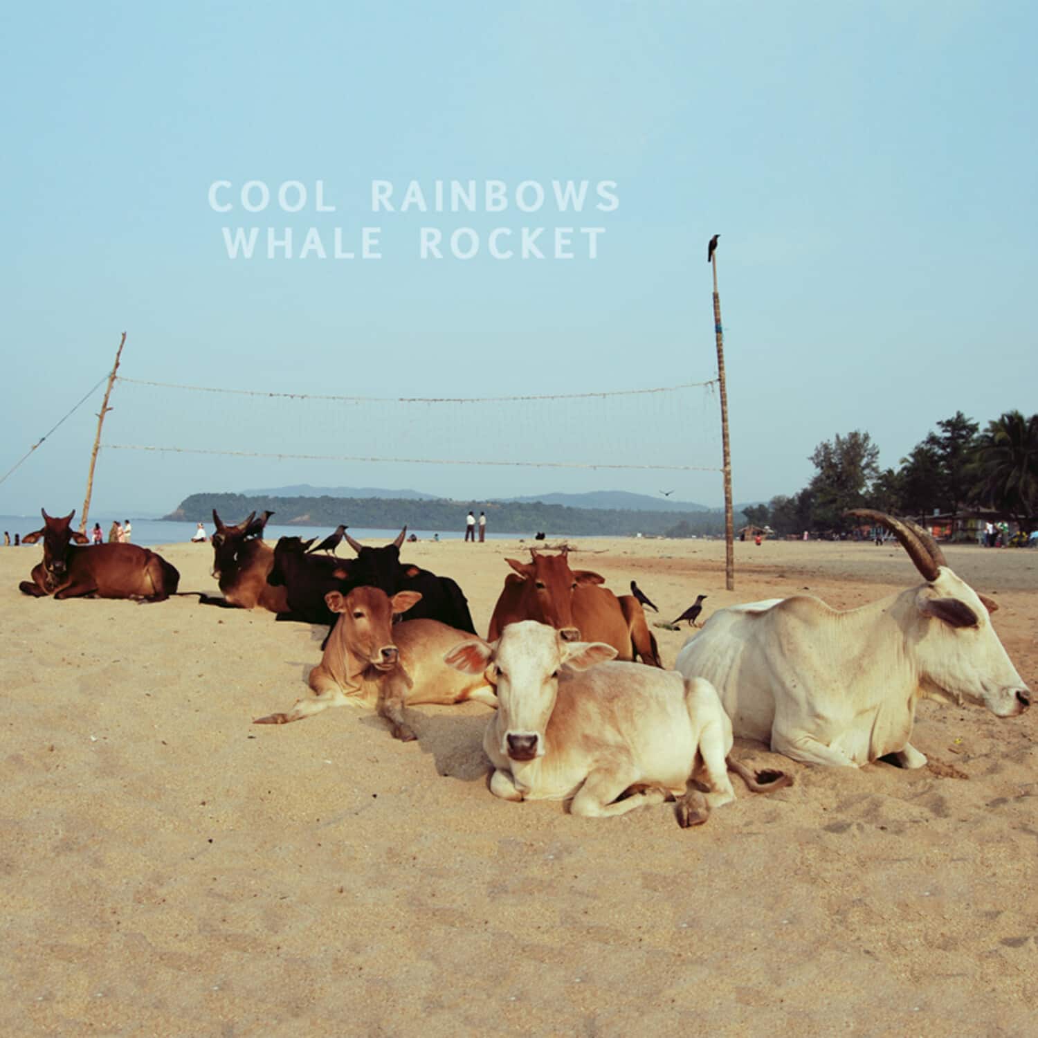 Cool Rainbows - Whale Rocket   - VINYL LP