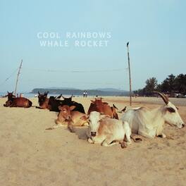 Cool Rainbows - Whale Rocket - VINYL LP