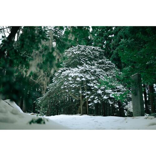 Alt View 5. Sigma - Sigma 35mm f/1.2 DG II Art Lens for L-Mount with Advanced Accessory and Travel Bundle | 370969 | 35mm Lens L Mount.