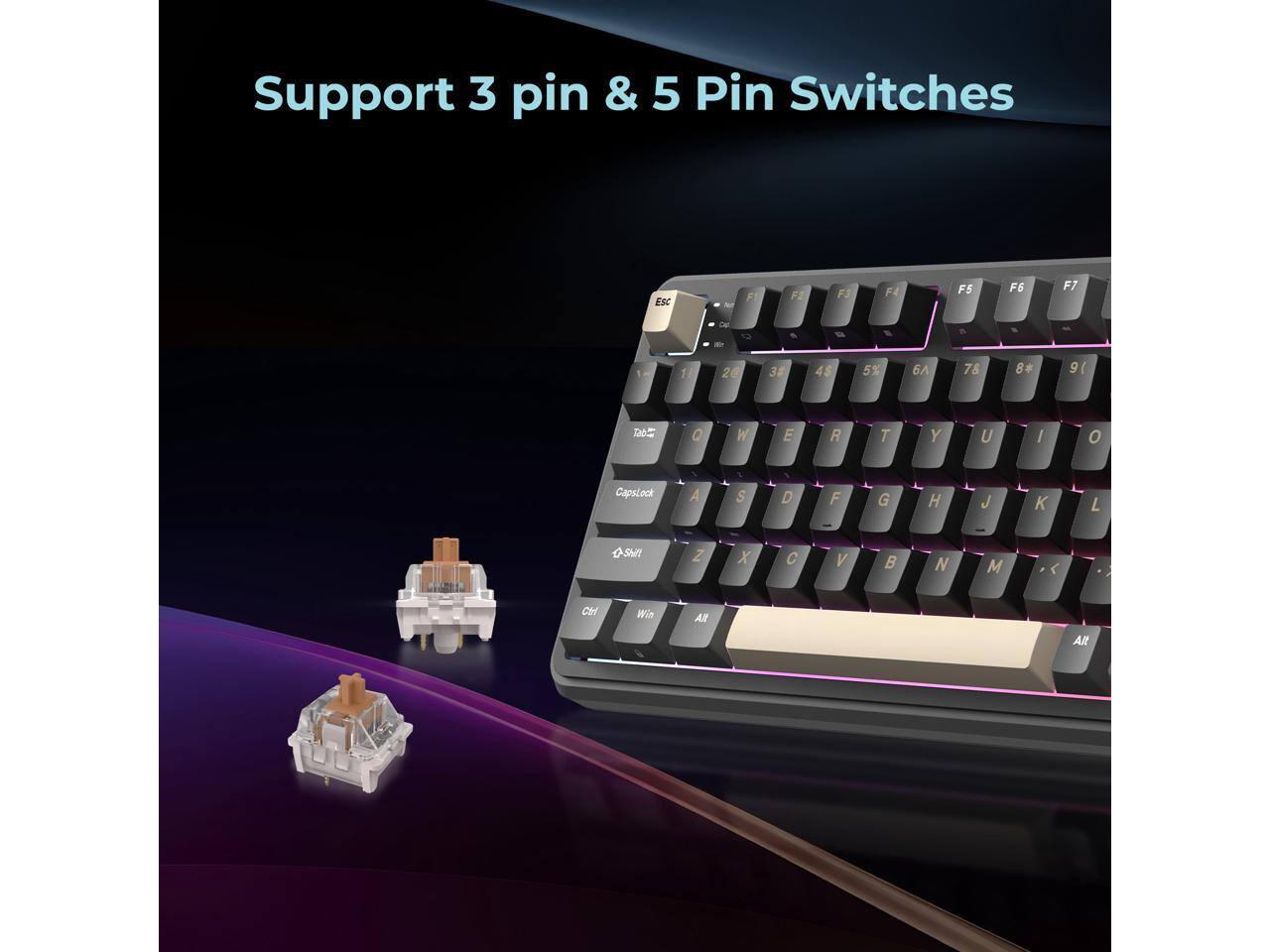 Support 3 pin & 5 Pin Switches