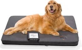 Assisi - LOOP Lounge tPEMF System for Dogs and Cats - Large