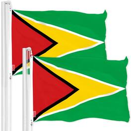 G128 - 2-Pack Guyana Flag 3x5 ft — 150D Polyester, Brass Grommets, Durable Indoor/Outdoor - Assorted Colors