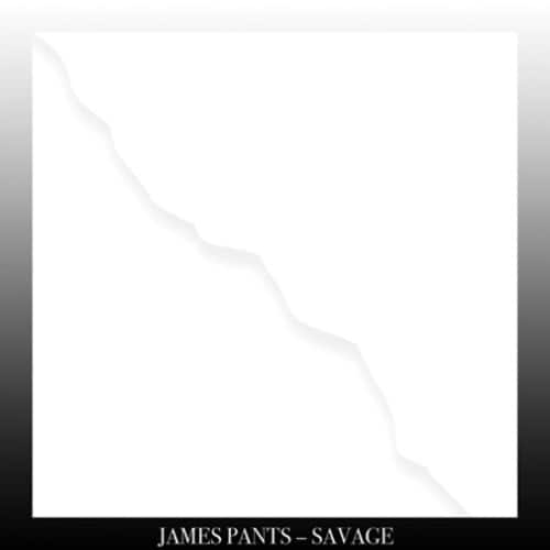James Pants - Savage   - VINYL LP price history on PriceWatchPro