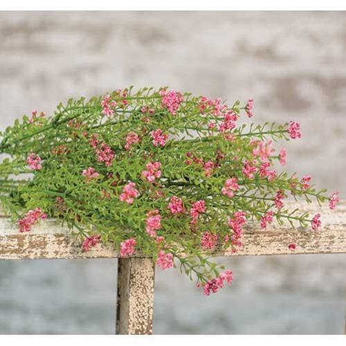 Angle. BreeBe - Pink Astilbe Bush 20" - Multi.