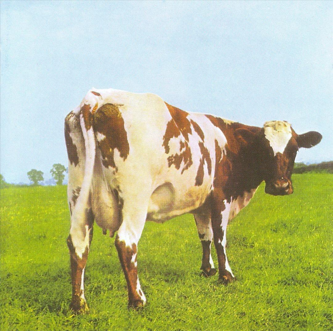 Atom Heart Mother [LP] VINYL - Best Buy