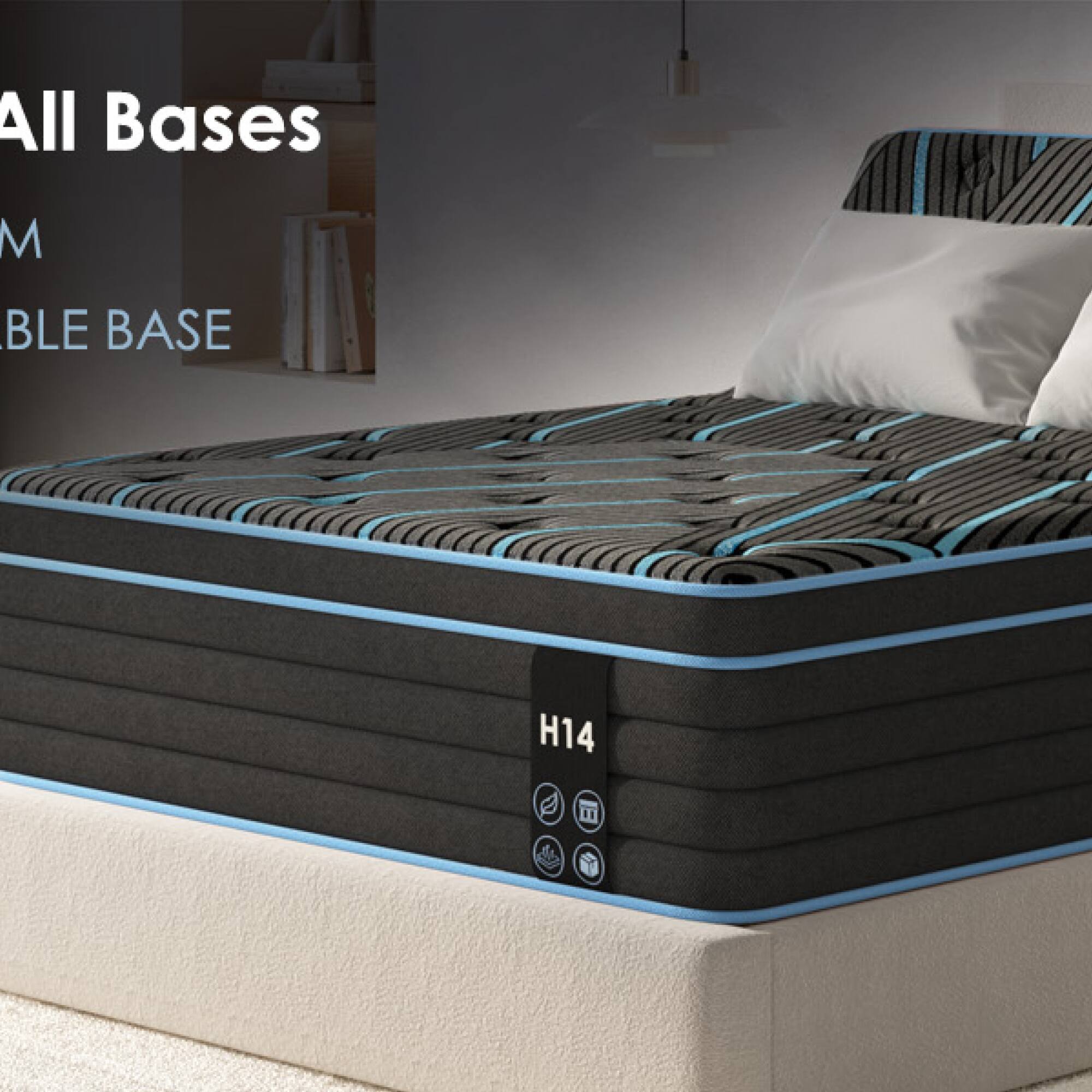 All Bases  
M  
BLE BASE  
H14