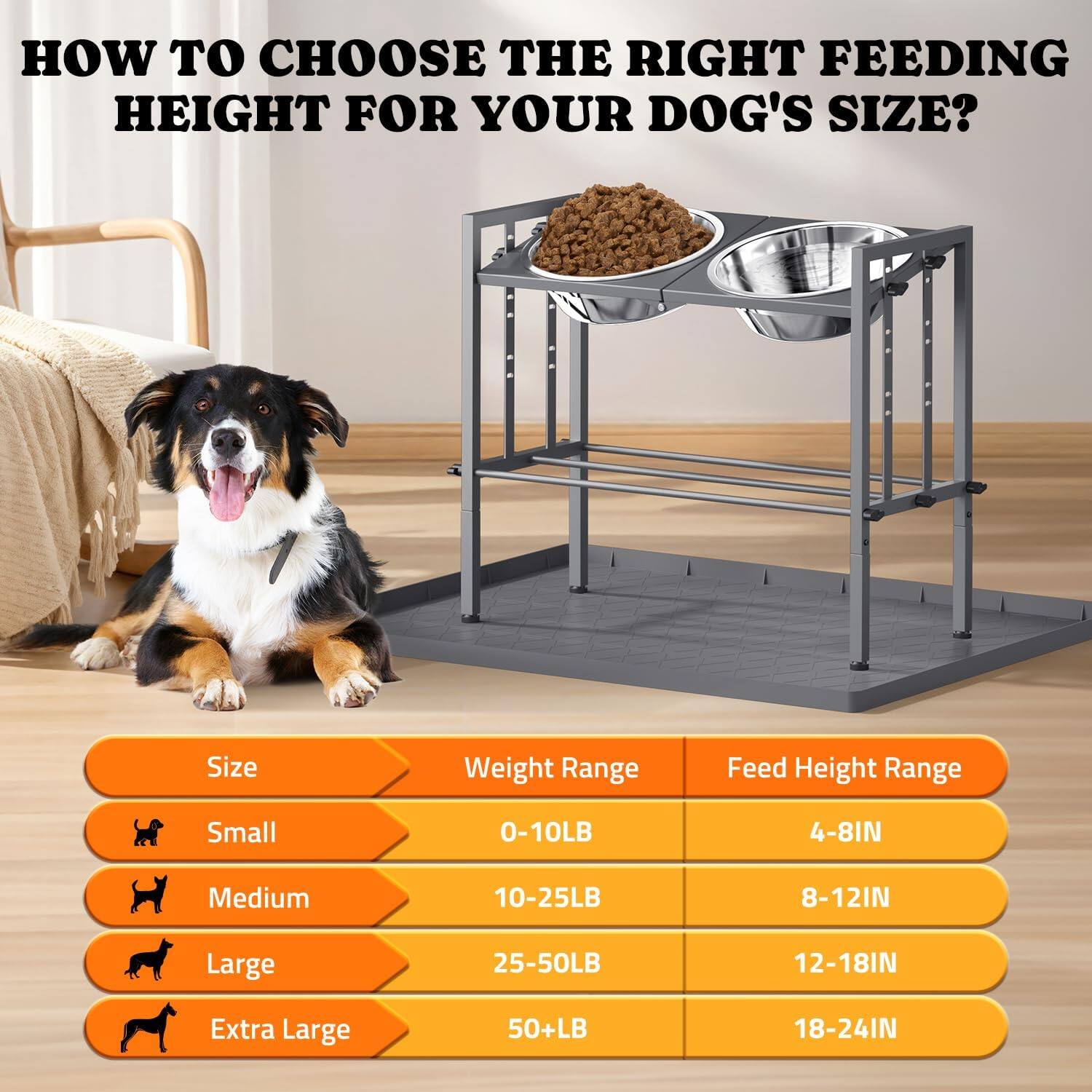 HOW TO CHOOSE THE RIGHT FEEDING HEIGHT FOR YOUR DOG'S SIZE?

| Size       | Weight Range | Feed Height Range |
|------------|--------------|------------------|
| Small      | 0-10LB       | 4-8IN            |
| Medium     | 10-25LB      | 8-12IN           |
| Large      | 25-50LB      | 12-18IN          |
| Extra Large| 50+LB        | 18-24IN          |