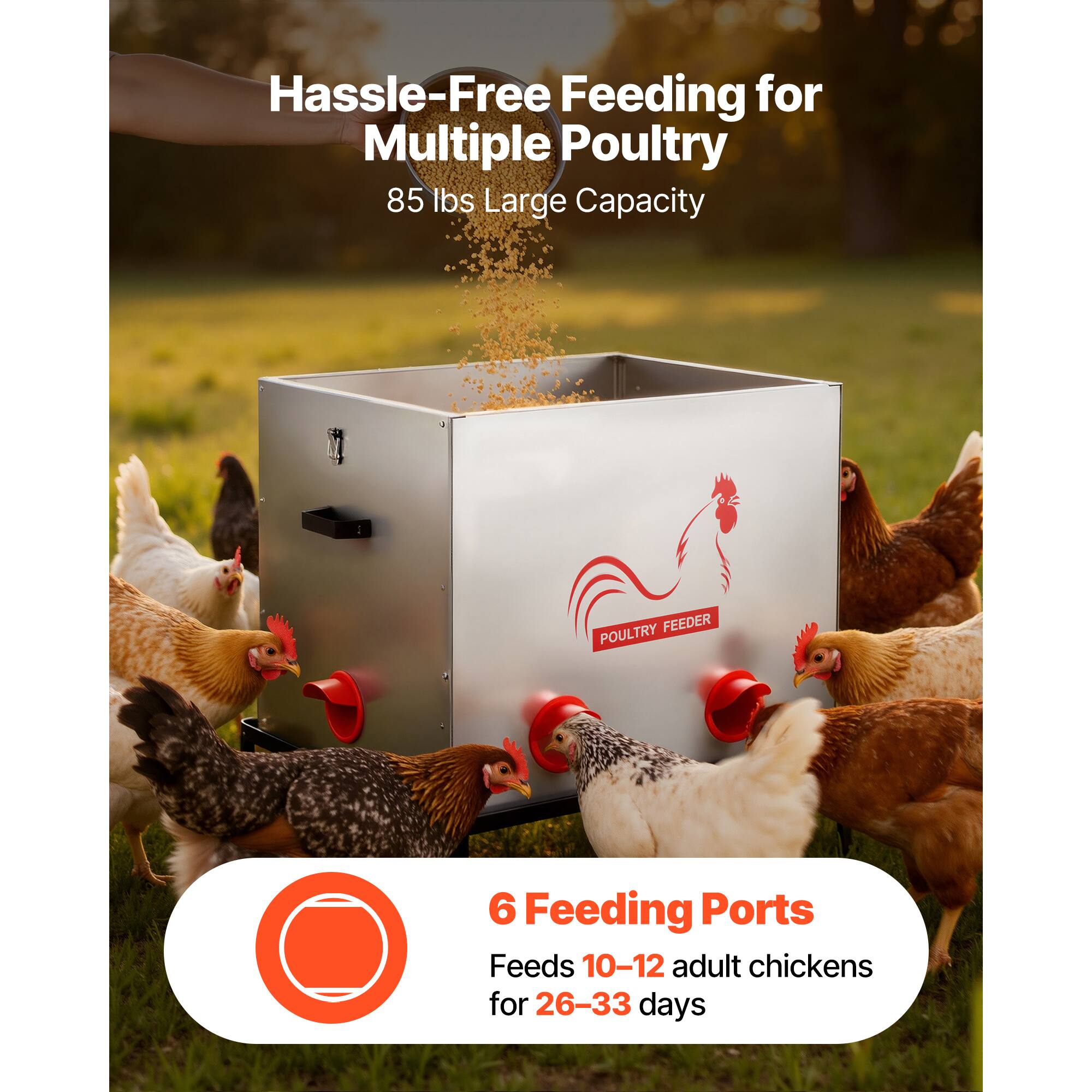 Hassle-Free Feeding for Multiple Poultry  
85 lbs Large Capacity FEEDER POULTRY  

6 Feeding Ports  
Feeds 10-12 adult chickens for 26-33 days
