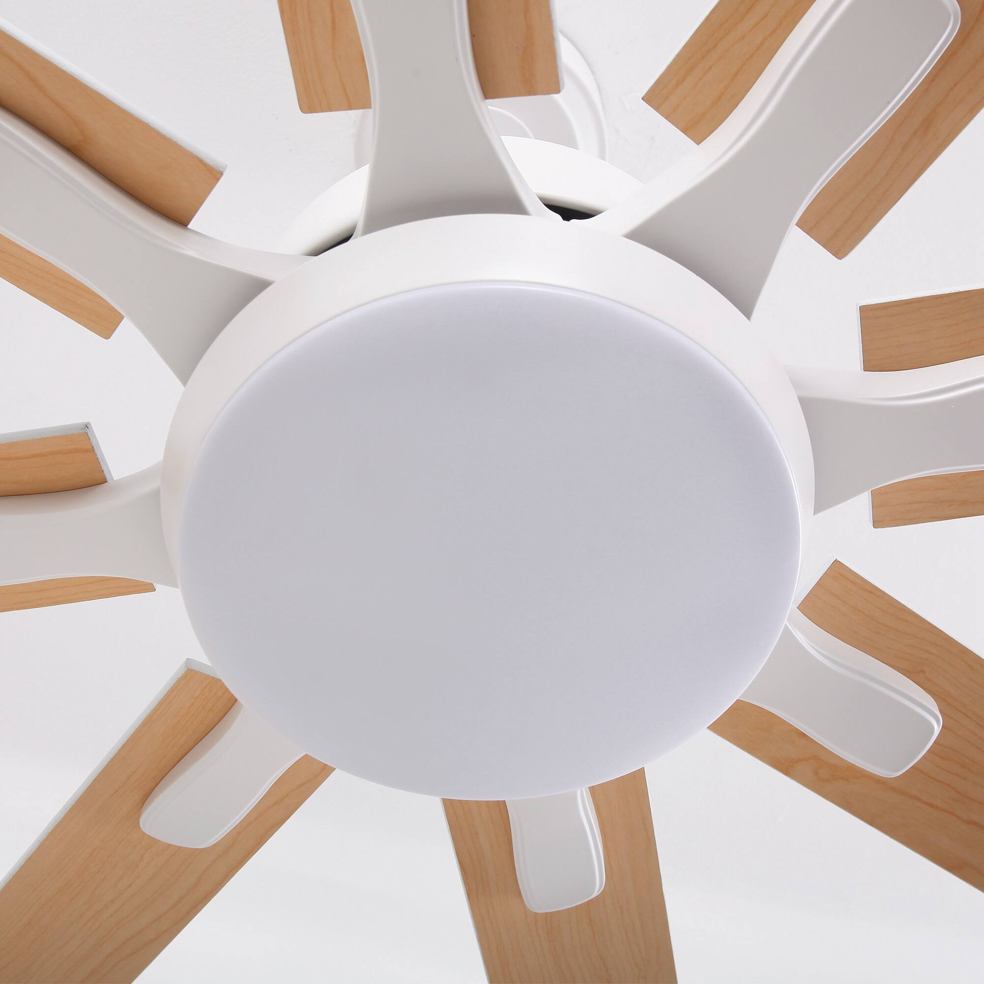 Alt View 8. Parrot Uncle - 65-Inch Modern Reversible Dimmable Large Ceiling Fan with Light and Remote - White.