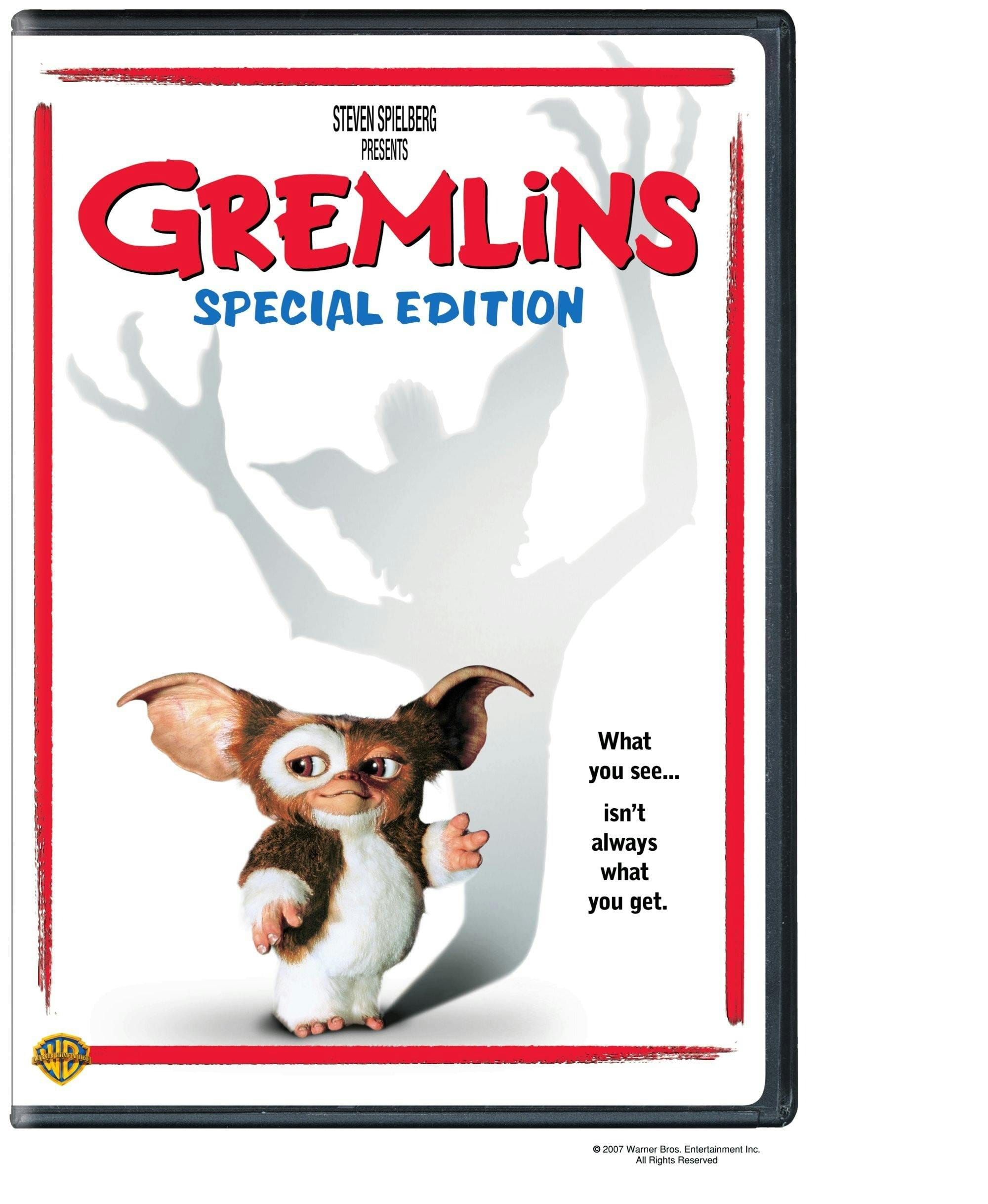 Gremlins (Special Edition) [DVD]