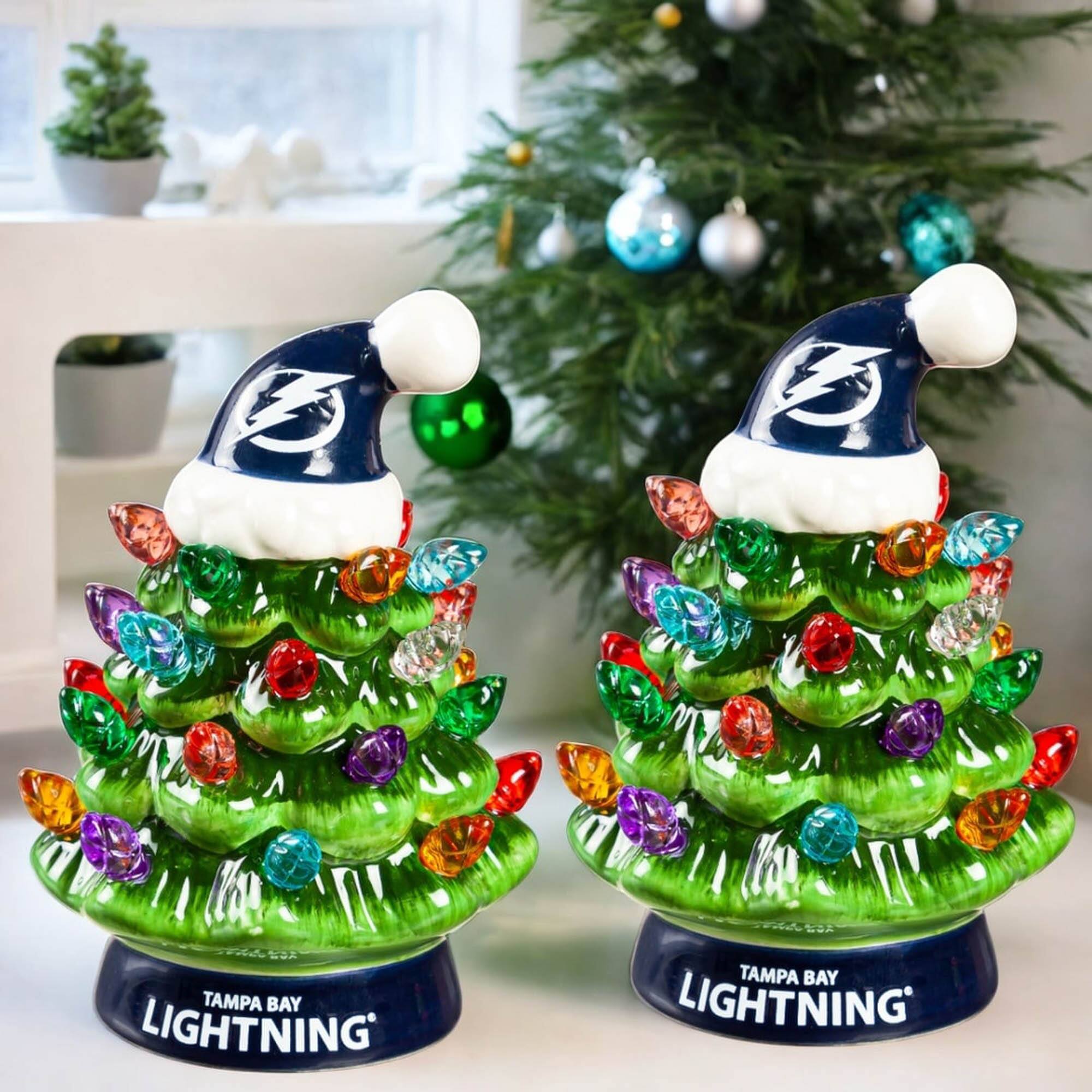 Tampa Bay Lightning  
Tampa Bay Lightning