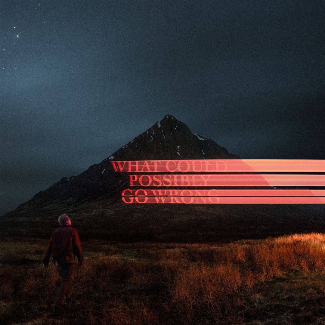 What Could Possibly Go Wrong [LP] - VINYL