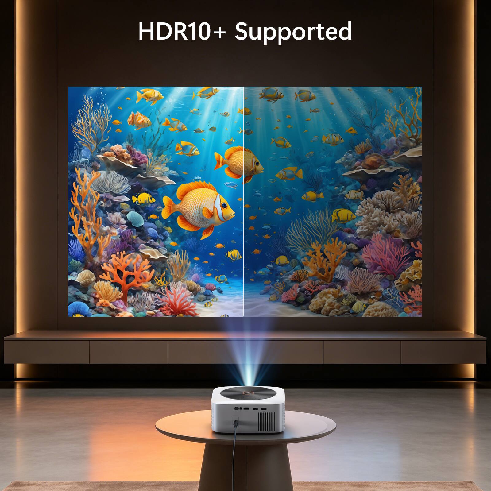 HDR10+ Supported