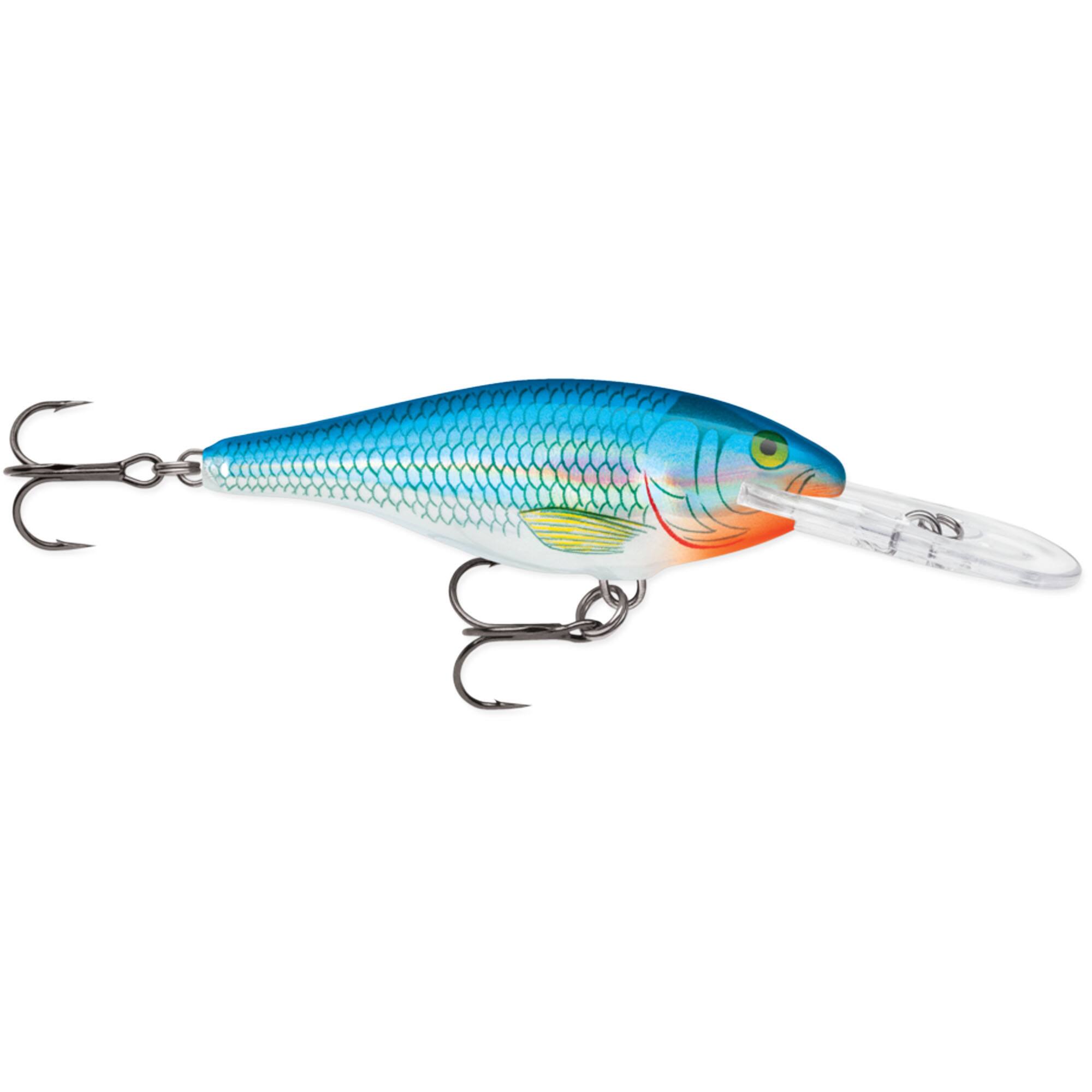 Holographic Blue Shiner