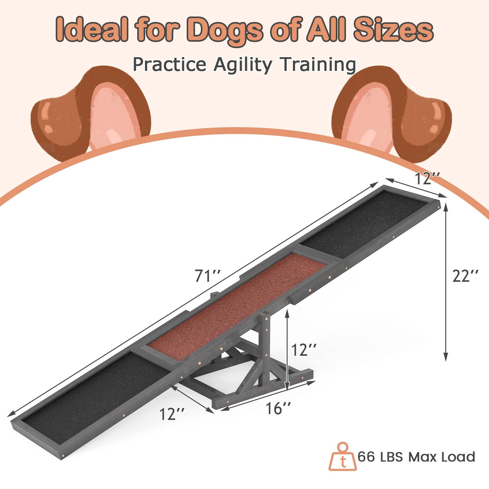 Ideal for Dogs of All Sizes  
Practice Agility Training  

12"  
71"  
22"  
12"  
12"  
16"  

66 LBS Max Load