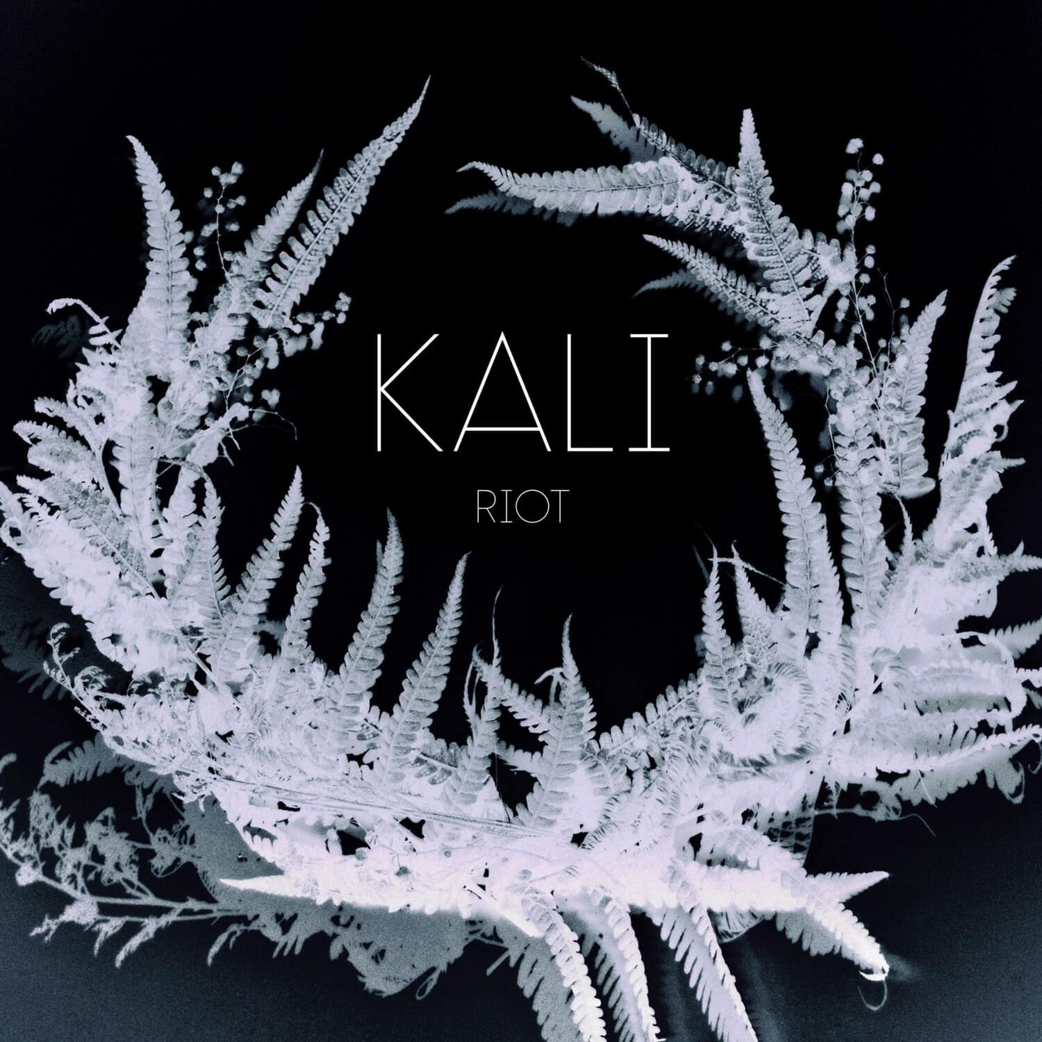 Kali - Riot   - COMPACT DISCS [CD] price history on PriceWatchPro