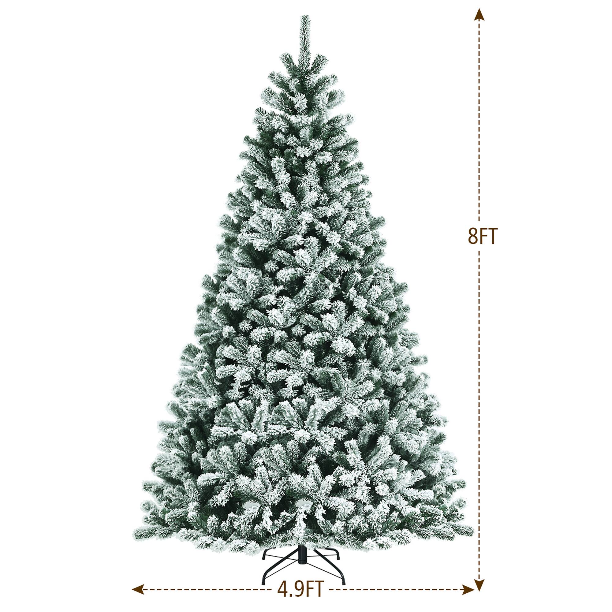 The text on the image reads "8FT 4.9FT". This suggests that the tree is 8 feet tall and 4.9 feet wide.