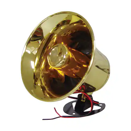 Front. Audiopipe - NTX5000 Xxx Pa Speaker 250 Watts - Gold.