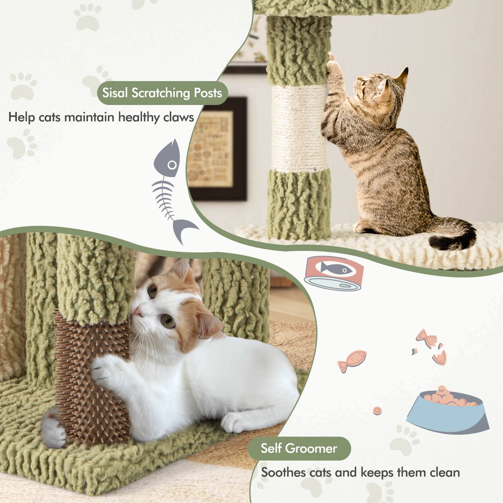 Sisal Scratching Posts  
Help cats maintain healthy claws  

Self Groomer  
Soothes cats and keeps them clean