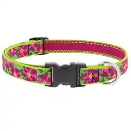 LupinePet - Original Petunias Nylon Dog Adjustable Collar - Multicolored