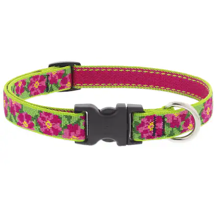Front. LupinePet - LupinePet Original Multicolored Petunias Nylon Dog Adjustable Collar - Multicolored.