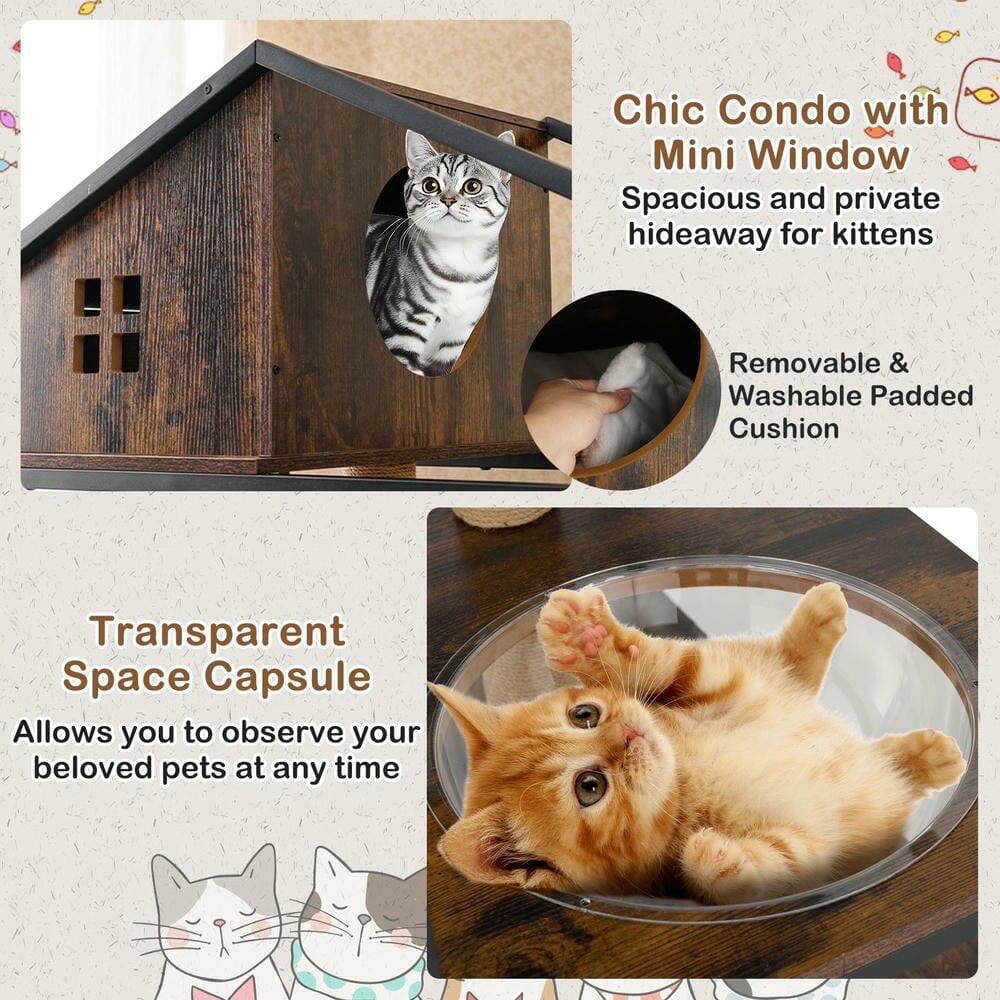 Chic Condo with Mini Window  
Spacious and private hideaway for kittens  

Removable & Washable Padded Cushion  

Transparent Space Capsule  
Allows you to observe your beloved pets at any time