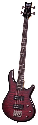Best Buy: Schecter Raiden Special 4-String Full-Size Electric Bass 