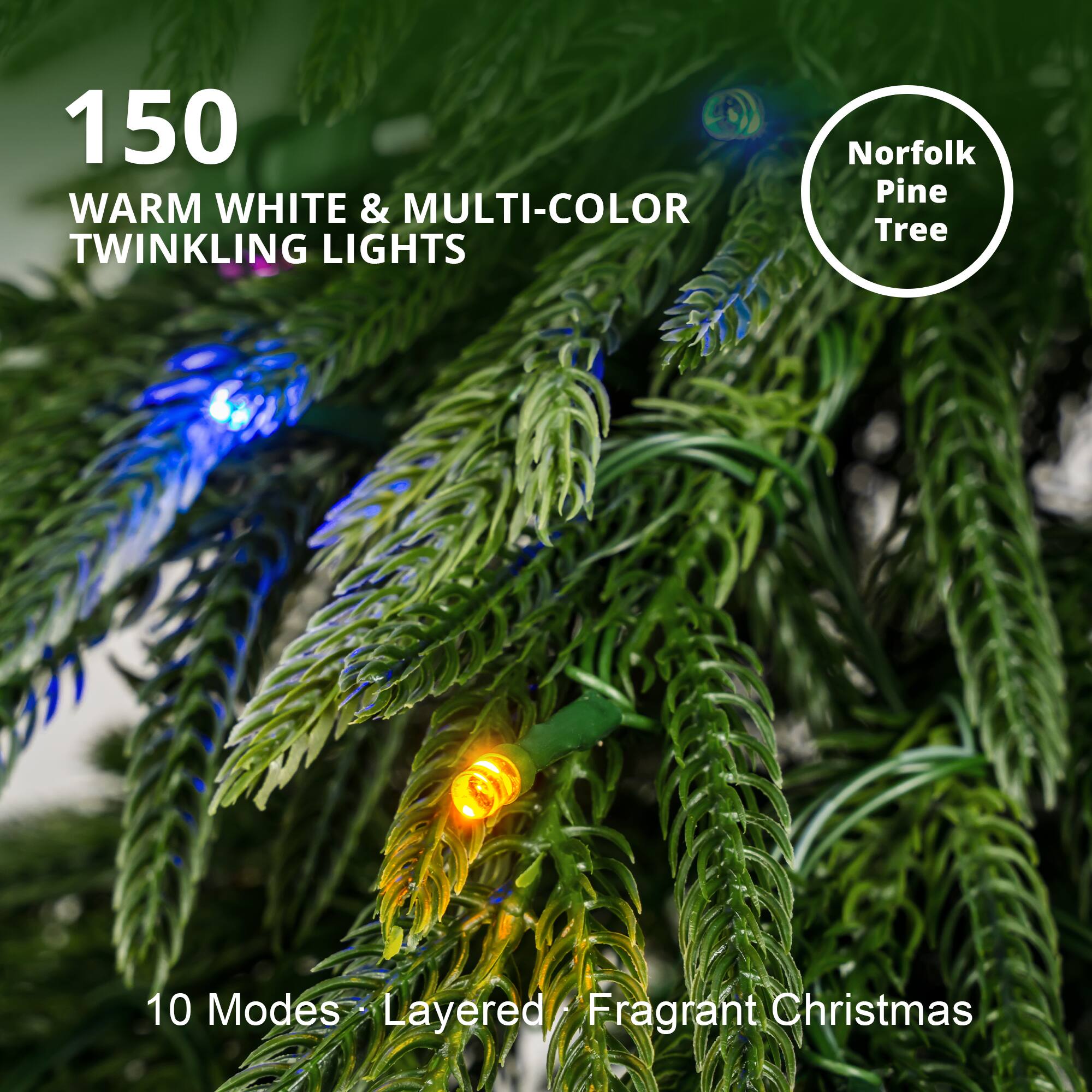 150 WARM WHITE & MULTI-COLOR TWINKLING LIGHTS

Norfolk Pine Tree

10 Modes Layered Fragrant Christmas
