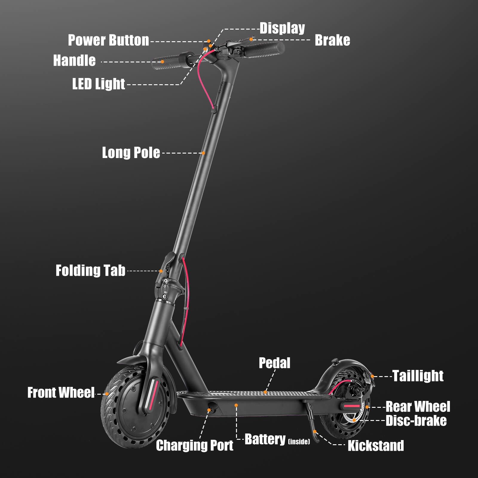- Power Button
- Handle
- LED Light
- Long Pole
- Folding Tab
- Front Wheel
- Charging Port
- Pedal
- Battery (Inside)
- Kickstand
- Display
- Brake
- Tail Light
- Rear Wheel
- Disc-brake