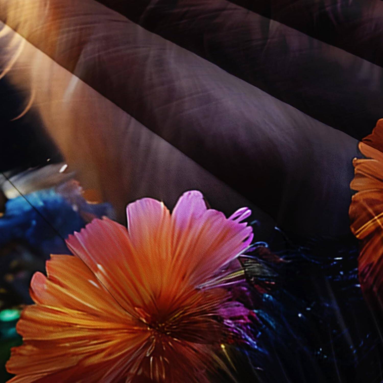 Alt View 3. Wikistore - WIKISTORE Kawaii Cat Comforter Set Queen Size 3D Animals Flowers Bedding for Girls Kids Teens - As Picture.