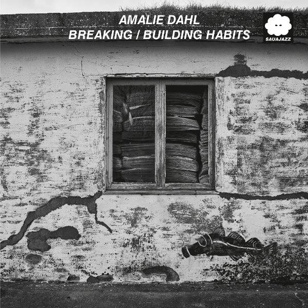 Breaking/Building Habits [LP] [VINYL]